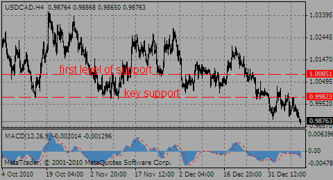 usdcad11.01.11_970840973.gif